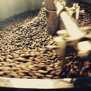 Freshly roasted beans of Valmandin gourmet coffee cooling in the roaster.
